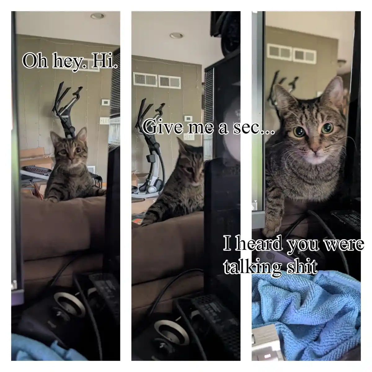 A three-panel meme showing a tabby cat on a couch, first looking at the camera with 'Oh hey. Hi.', then looking away with…