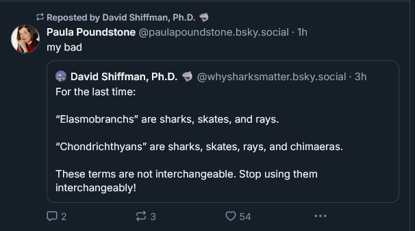 A screenshot of a social media thread where Paula Poundstone replies 'my bad' to a post by David Shiffman, Ph.D., who…