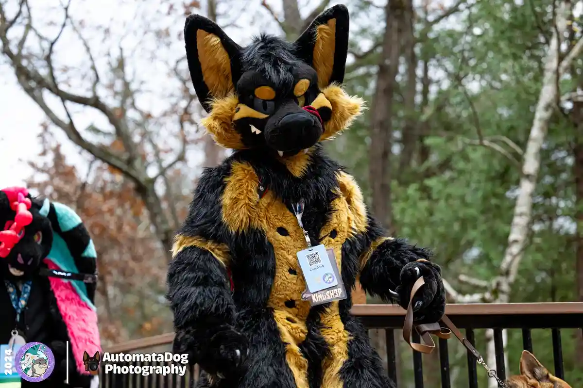 A person in a black and tan fursuit resembling a canine with pointed ears and fangs stands outdoors holding a leash attached…