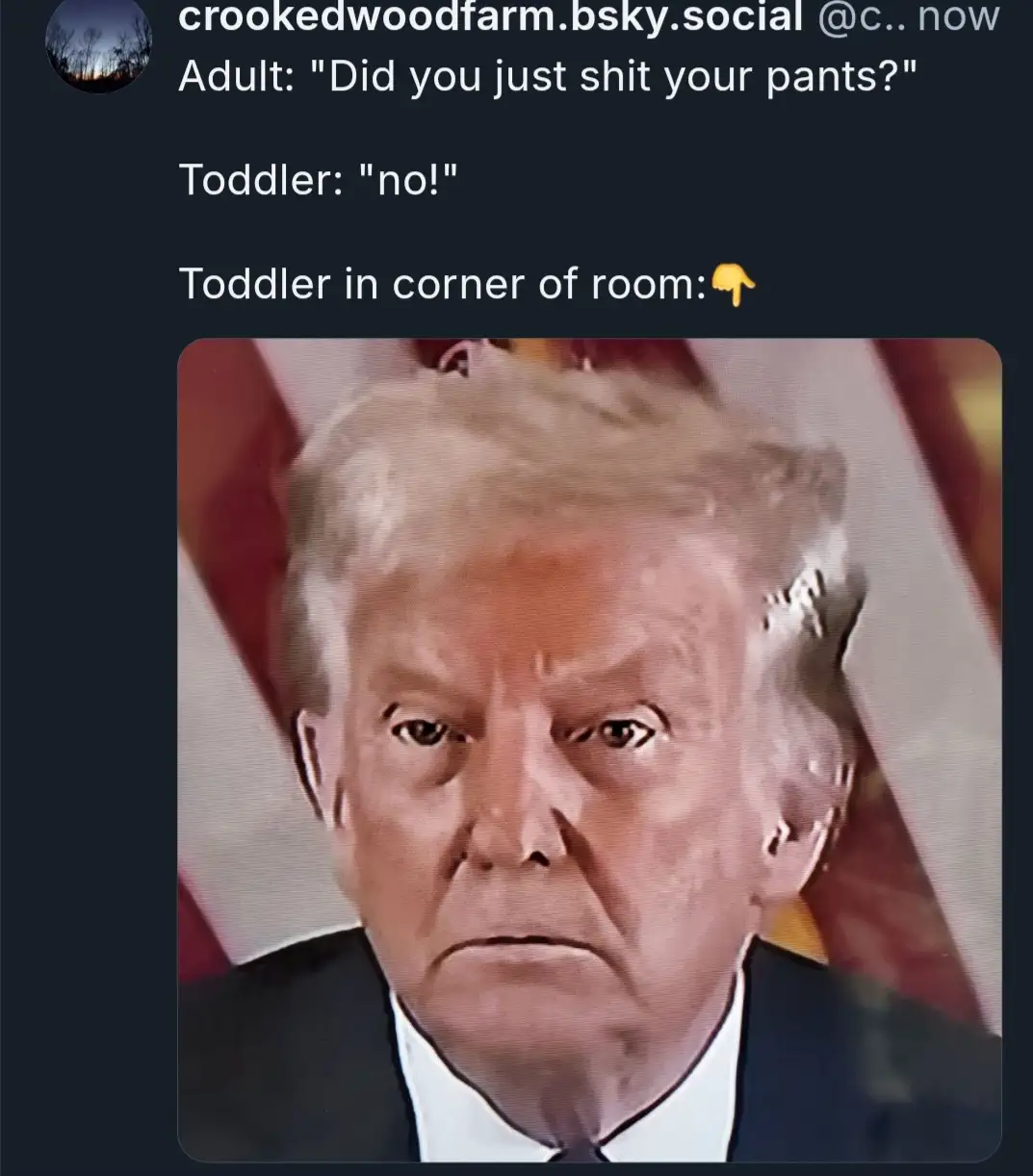 A close-up image of Donald Trump with a stern, disappointed facial expression, overlaid with text depicting a dialogue where…