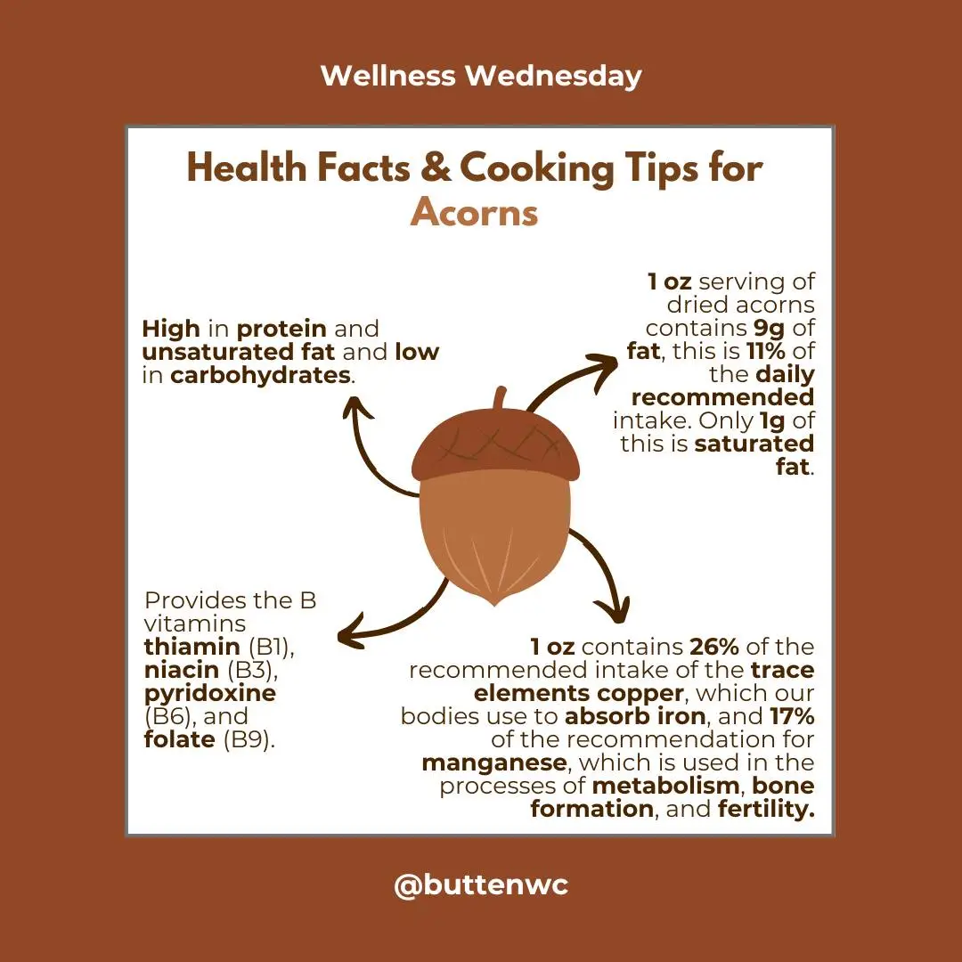 An infographic titled 'Wellness Wednesday' presents 'Health Facts & Cooking Tips for Acorns,' featuring a cartoon acorn with…