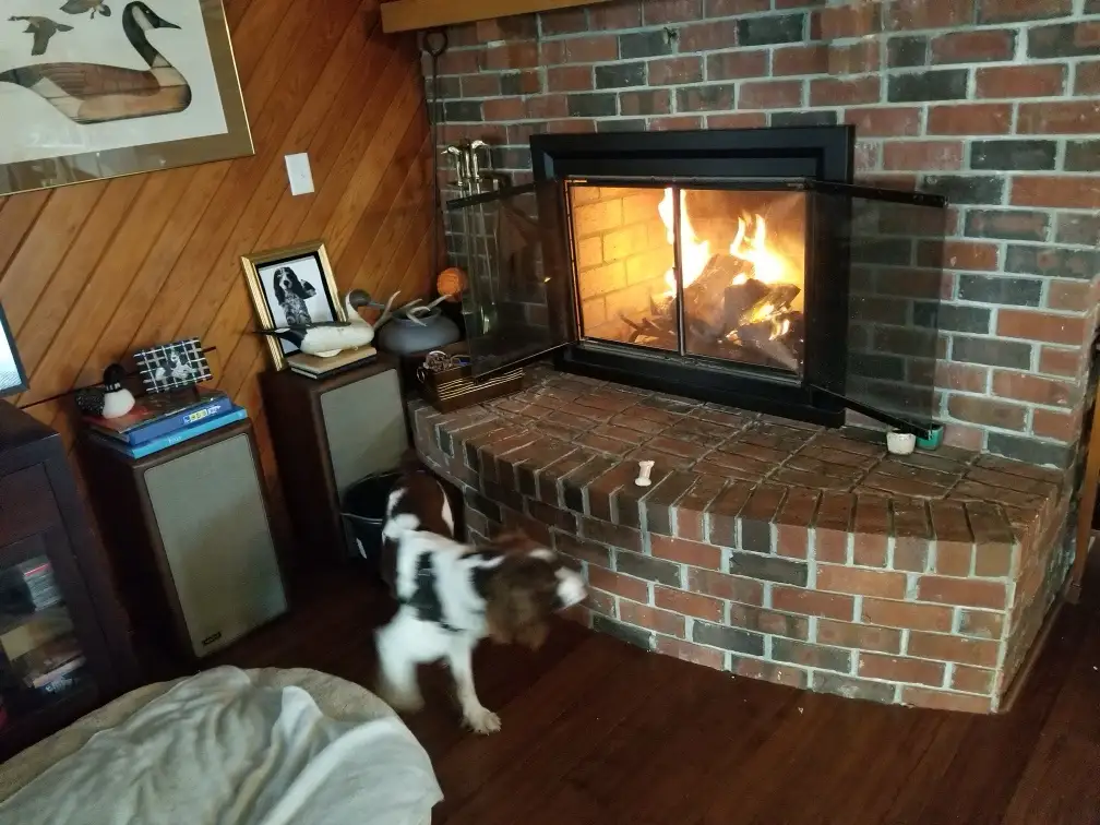A brown and white dog is standing in front of a lit fireplace with brick surround, looking at a bone-shaped chew toy on the…