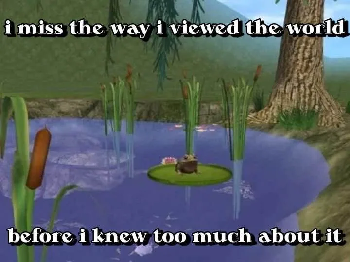 A screenshot from a video game shows a small frog sitting on a lily pad in a pond surrounded by reeds and a large tree. The…