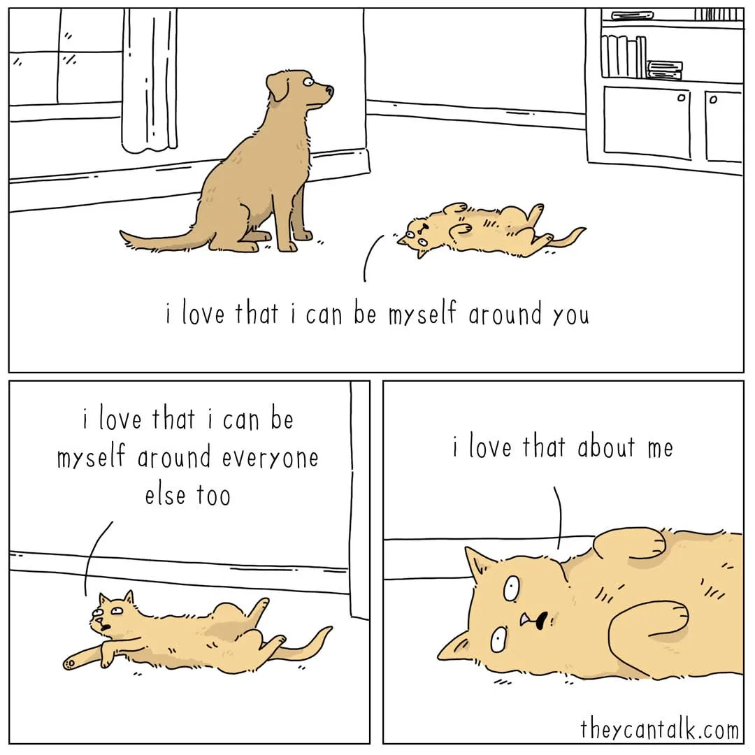 A three-panel comic strip shows a cat and a dog in a room. In the first panel, the cat lies on its back while the dog sits…