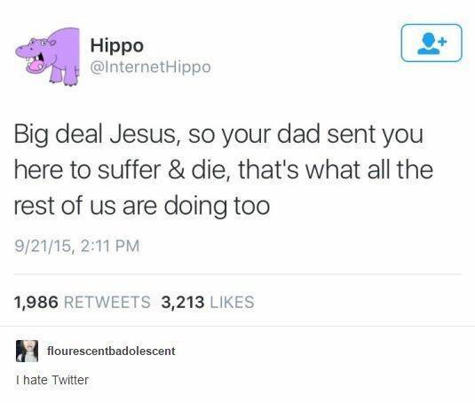 A screenshot of a Twitter post from the account 'Hippo' (@InternetHippo) with a purple hippo profile picture. The tweet…