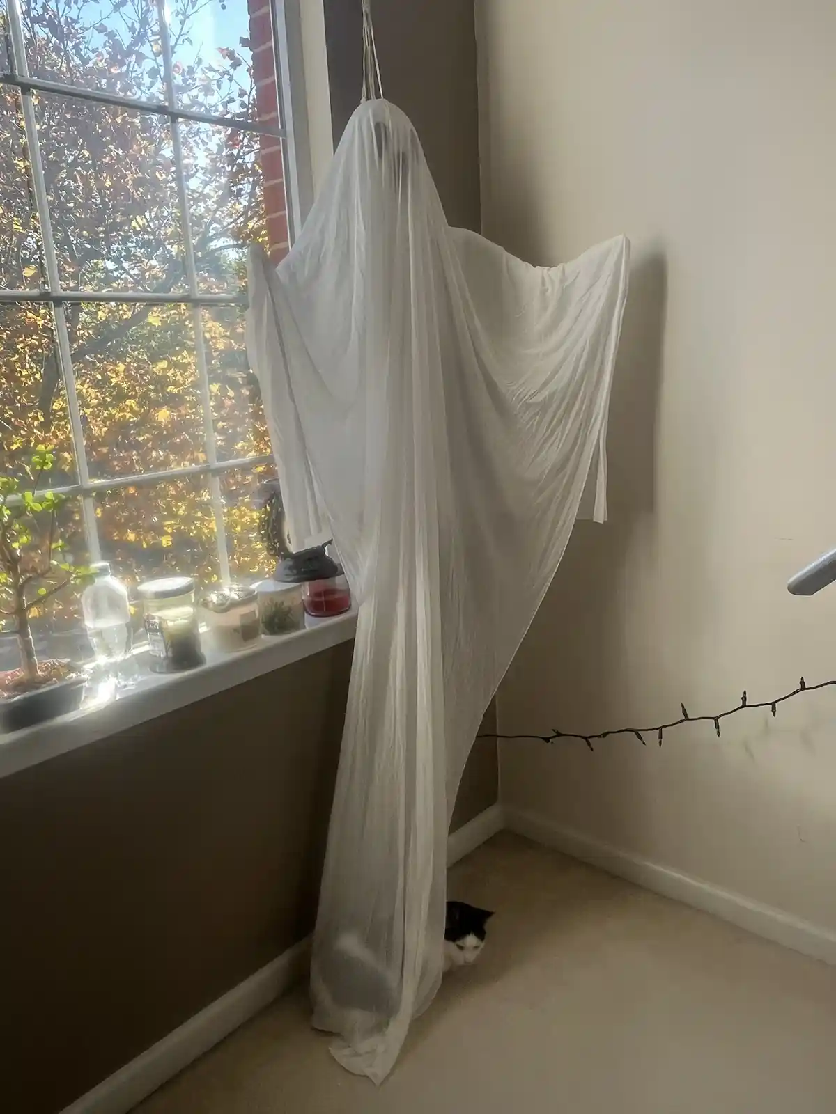 A white sheet ghost decoration hangs in a corner near a window with autumn trees visible outside. A small black-and-white…