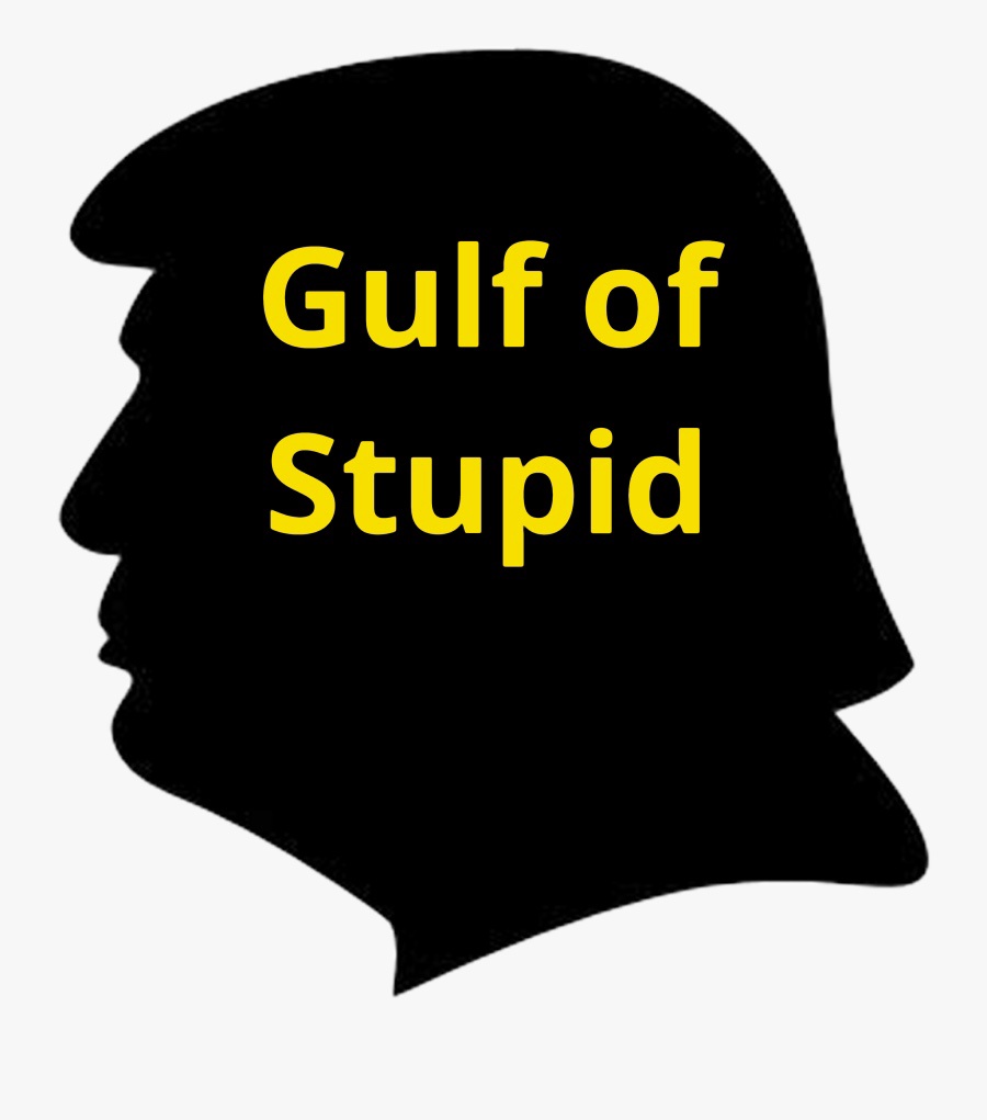 A black silhouette of a man's head in profile, resembling Donald Trump, with the text 'Gulf of Stupid' in bold yellow…