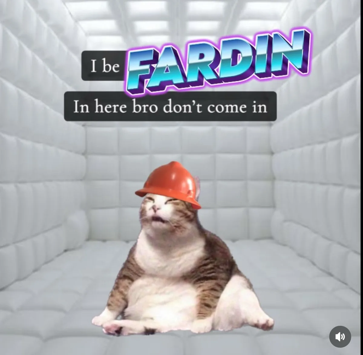 A plump tabby cat wearing an orange hard hat sits in a white padded room, looking smug and unbothered. Overlaid text reads…