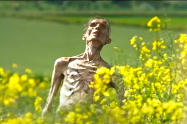 A severely emaciated, skeletal human figure stands in a field of bright yellow flowers, looking upward with an expression of…