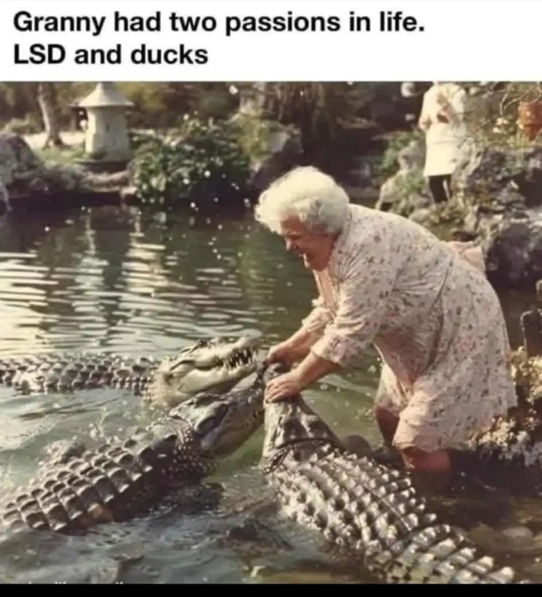 An elderly woman with white hair, wearing a floral dress, is kneeling in a pond and playfully interacting with three…