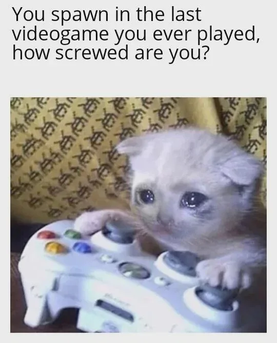 A small, fluffy white kitten with large, expressive eyes is holding a white Xbox 360 controller, its paws on the analog…