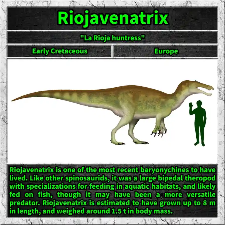 The image displays a digital illustration of the dinosaur Riojavenatrix, shown in profile with a human silhouette for scale…