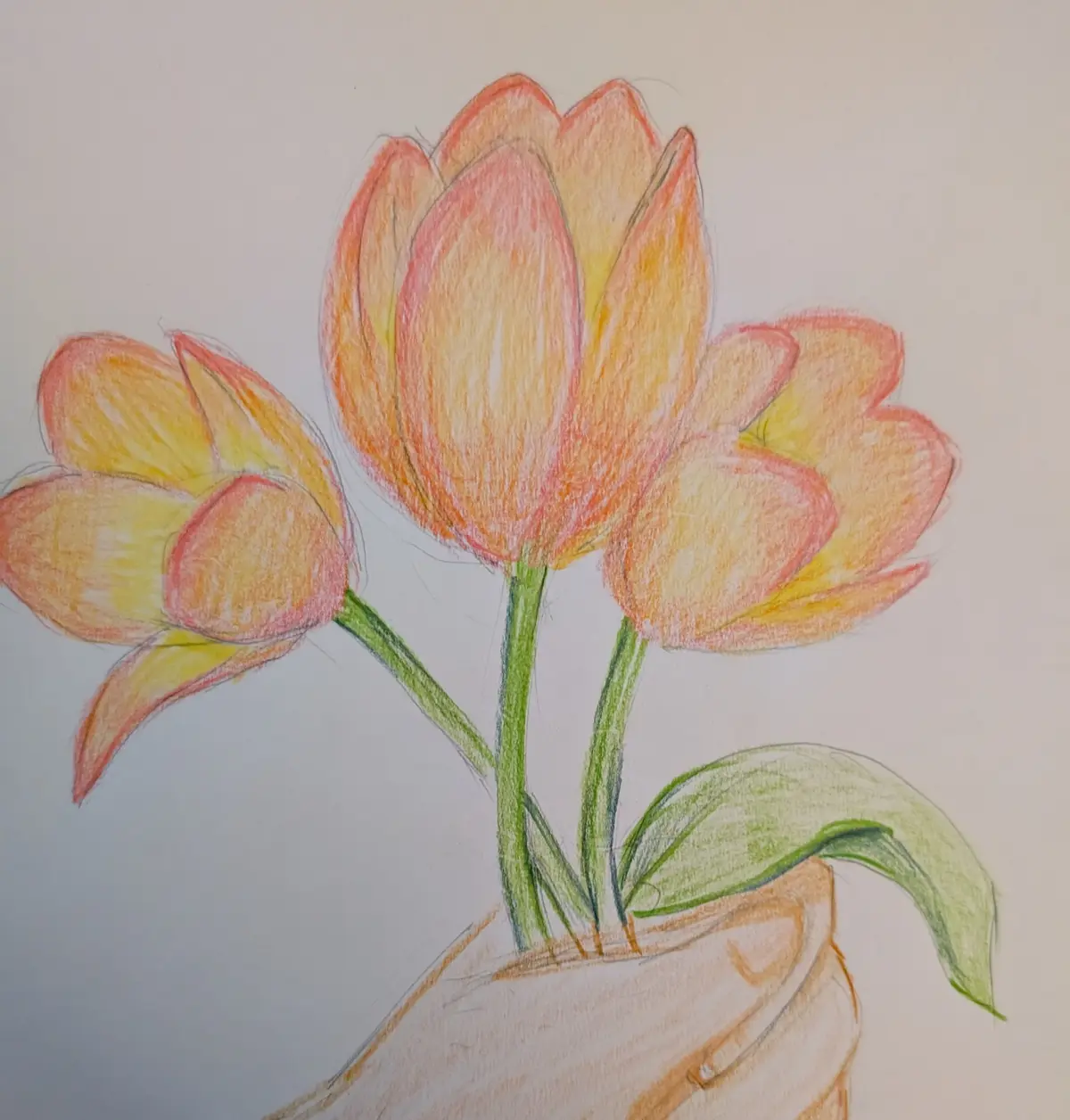 A colored pencil drawing shows three orange-yellow tulips with green stems and leaves, arranged in a light brown vase on a…