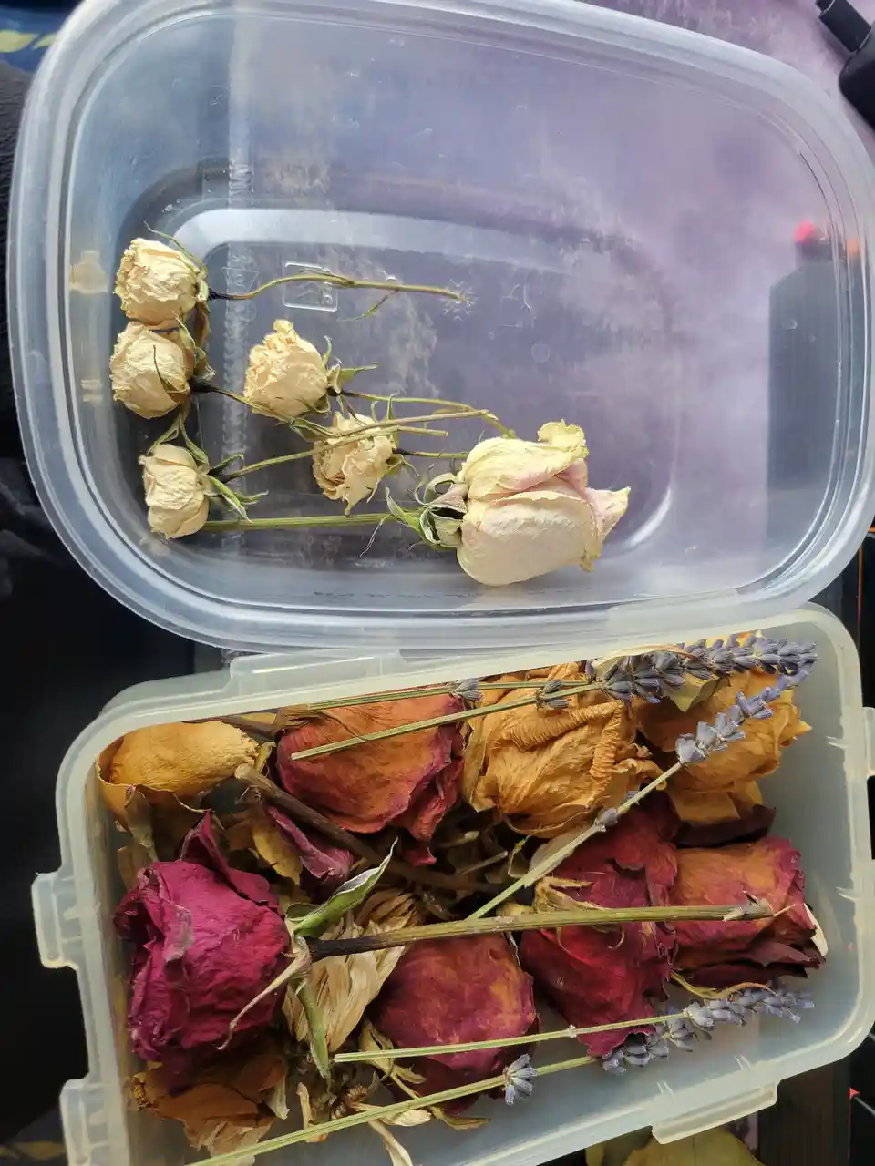 Two open plastic containers hold dried flowers; the top one contains pale, shriveled white roses, while the bottom one is…