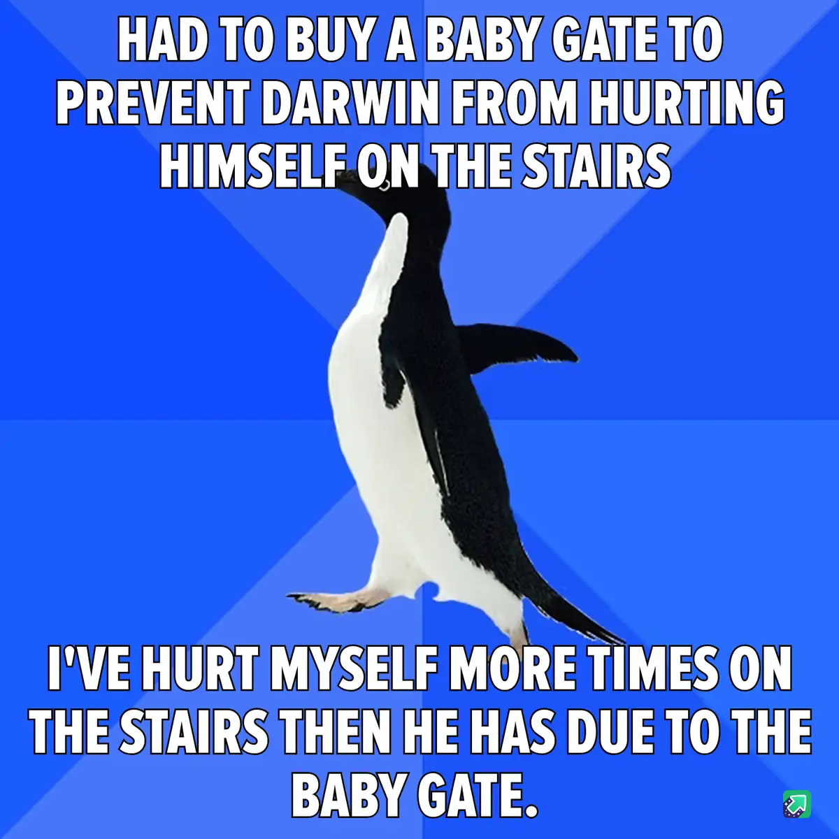 A penguin stands against a blue background with white text overlaid in two sections. The top text reads 'HAD TO BUY A BABY…