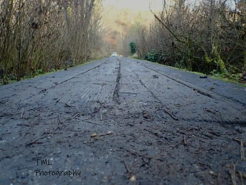 A low-angle shot of a cracked, weathered asphalt road flanked by bare trees and overgrown vegetation, with a distant white…