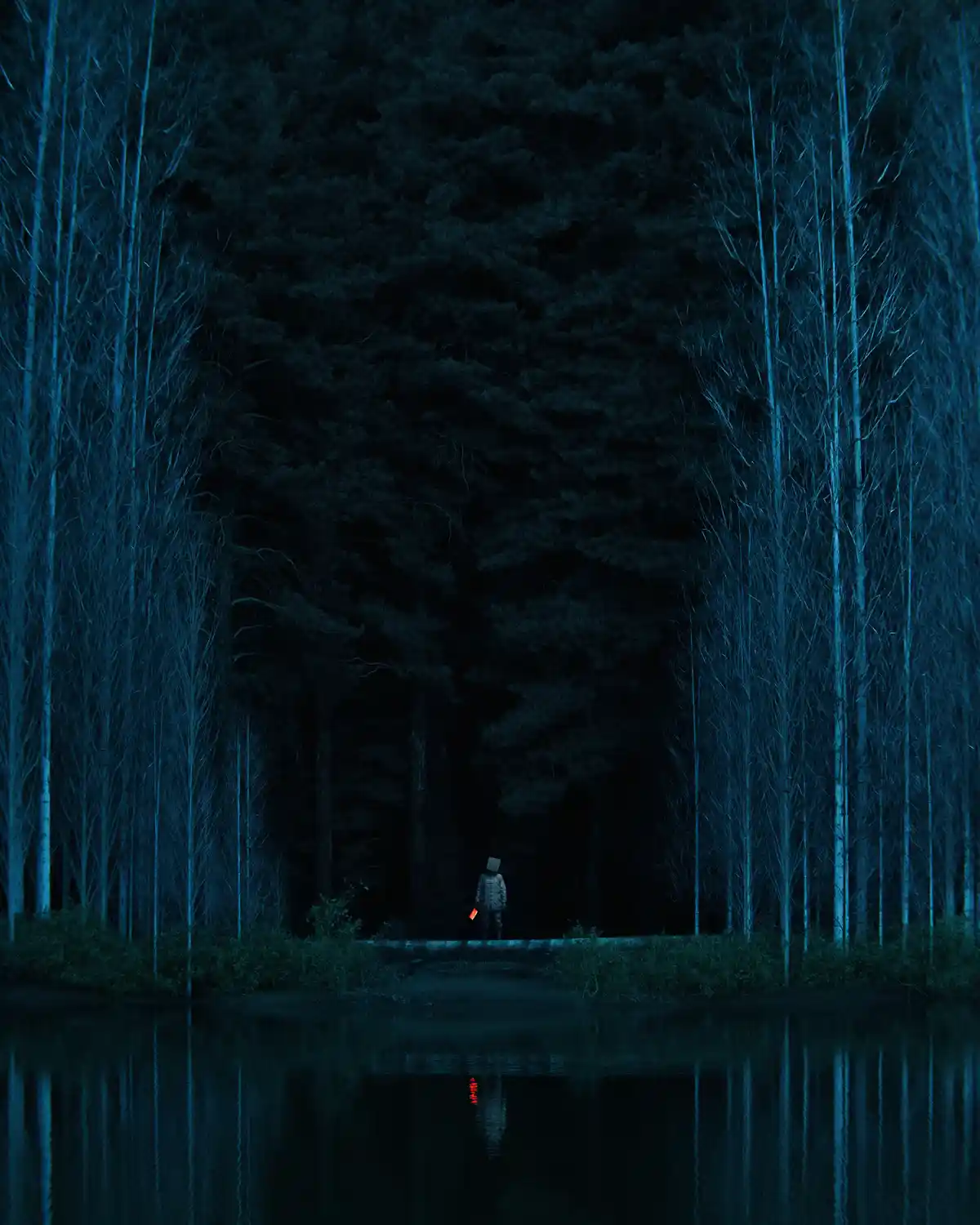A solitary figure stands on a path at night in a dark forest, holding a glowing red object, with their reflection visible in…