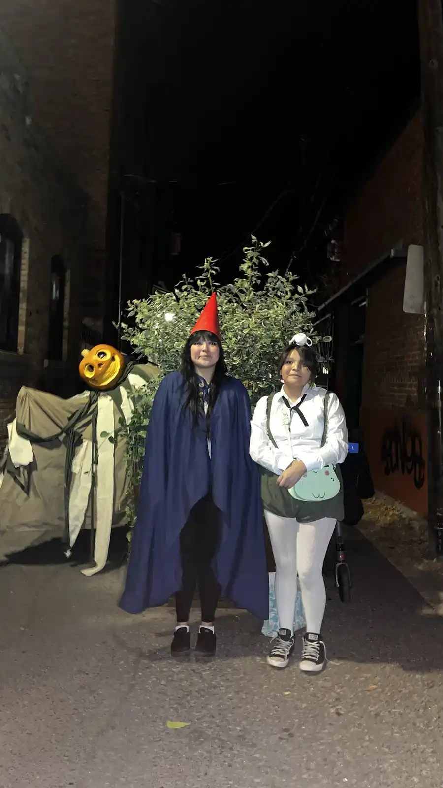 I went as a cat dressed as a pumpkin!