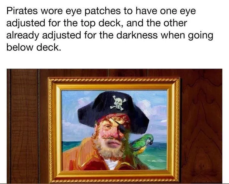 A framed painting depicts a pirate with a black eye patch over his left eye, a skull-and-crossbones hat, and a green parrot…