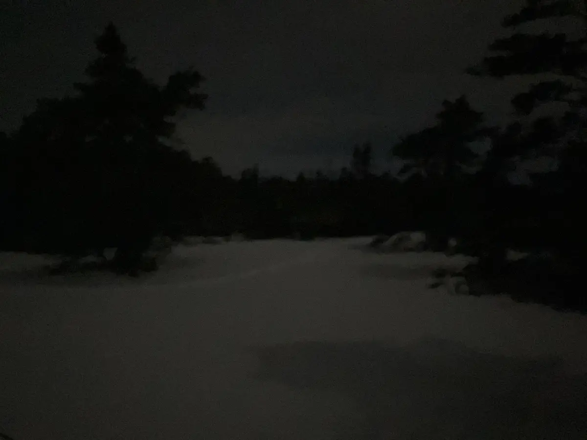 A very dark, low-light photograph of a snowy landscape at night, with silhouettes of pine trees visible against a dim sky…