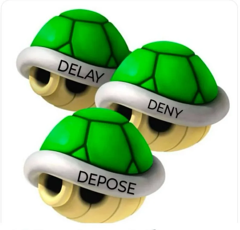 Three cartoon turtle heads with green shells and white headbands, each headband labeled with a word: 'DELAY', 'DENY', and…
