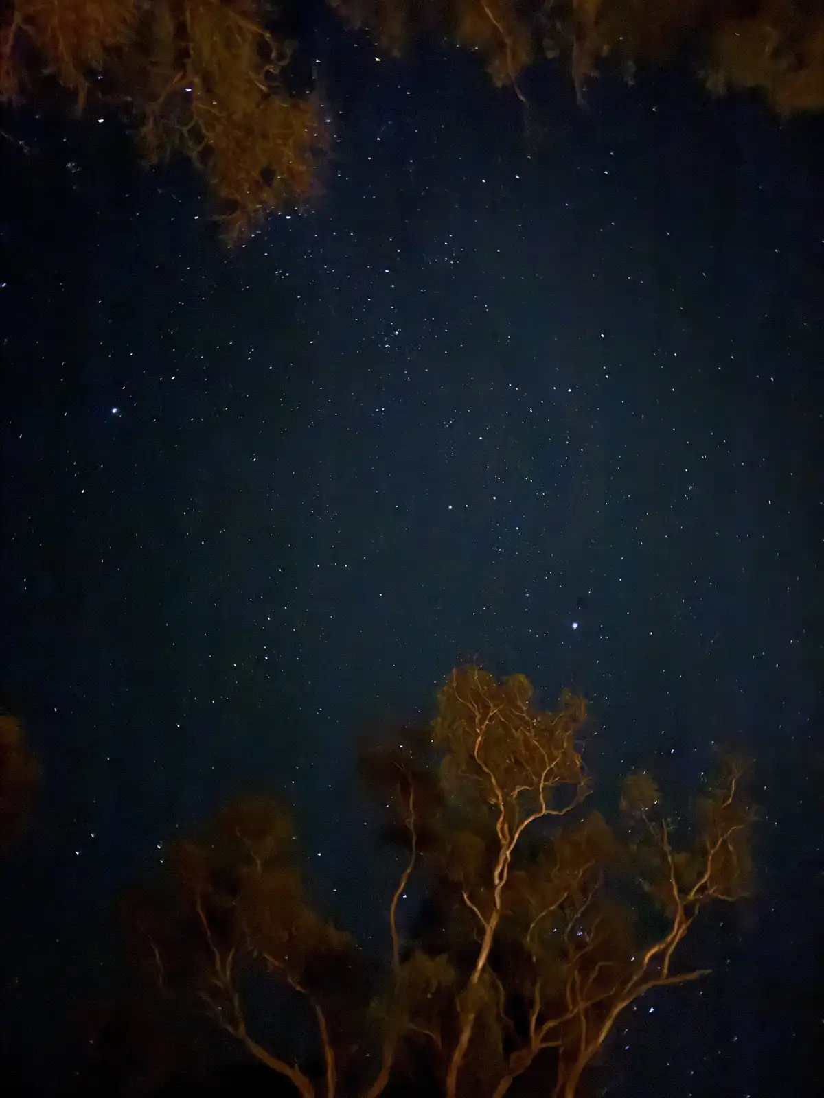 Stunning Nighttime Shots Captured on My iPhone