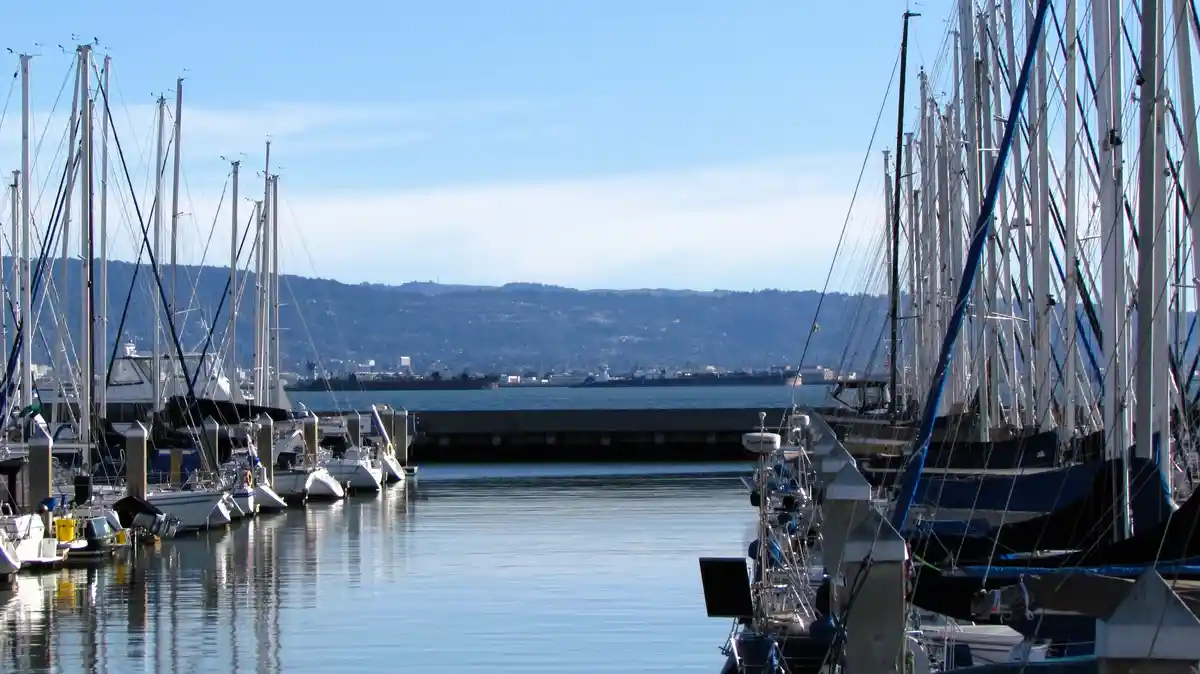 A serene marina with numerous sailboats docked on both sides of a calm waterway, their masts creating a forest-like pattern…