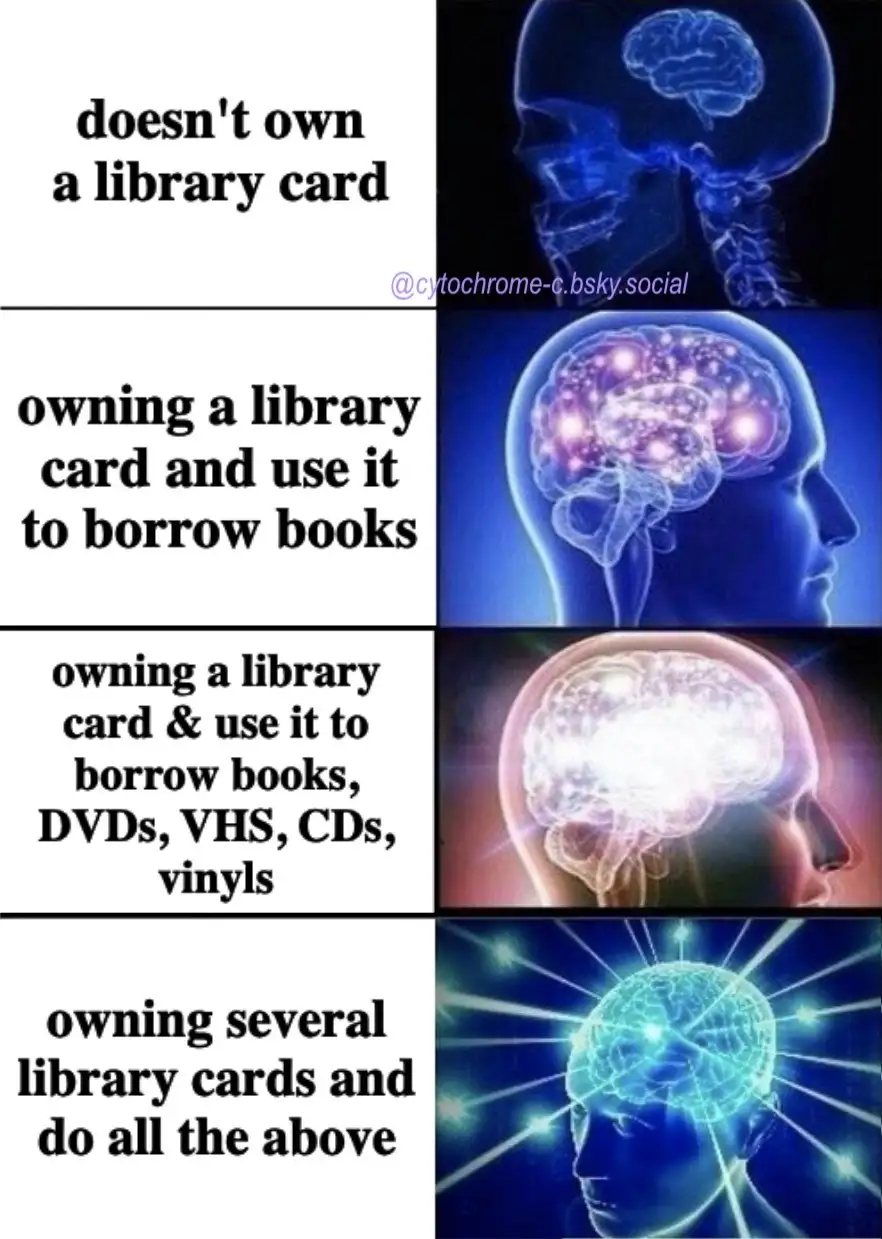A four-panel meme showing a human head with a brain in profile, progressively glowing brighter and more intensely in each…