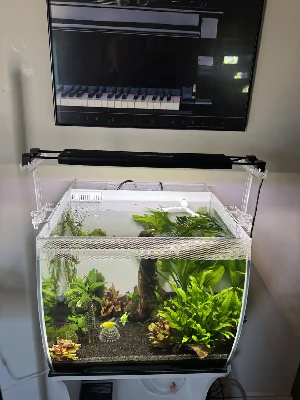 A rectangular fish tank filled with water, green aquatic plants, gravel, and small yellow fish sits on a stand. Above it, a…