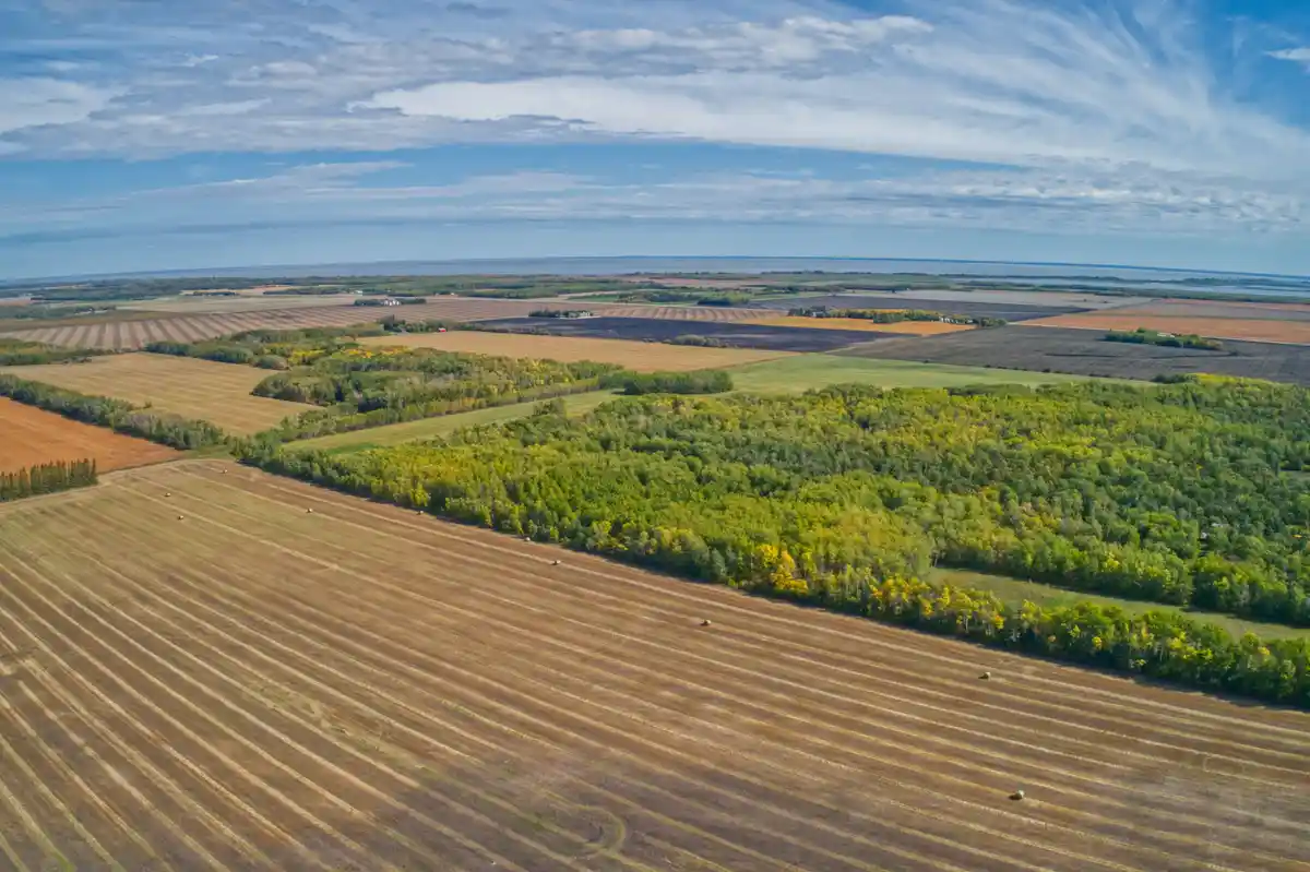 Stunning Aerial View of Manitoba's Rural Landscape