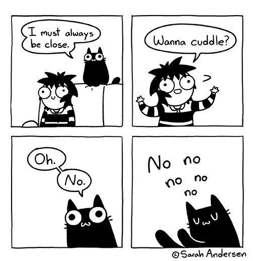 A four-panel black-and-white comic strip by Sarah Andersen shows a person with a black cat. In the first panel, the cat…