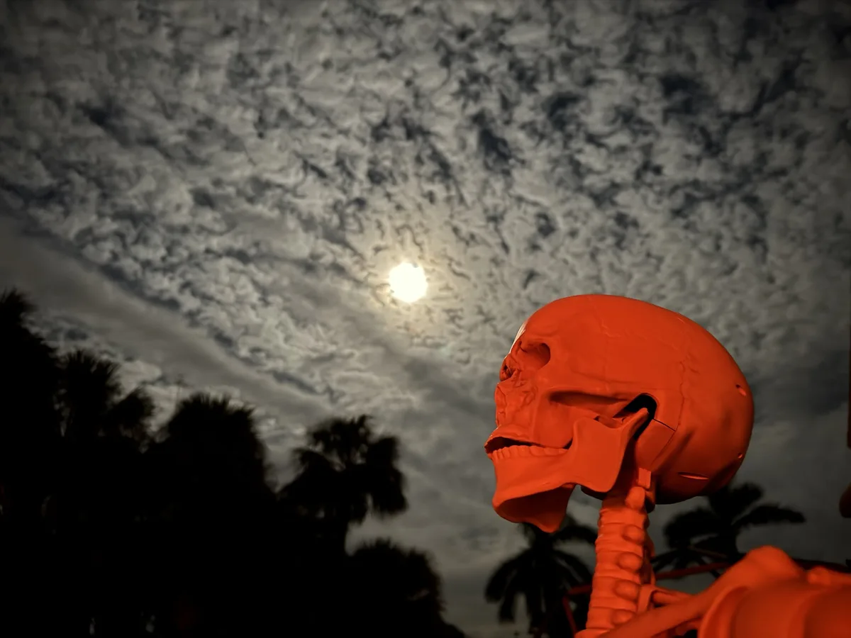 A bright orange plastic skeleton head and neck are shown in profile against a cloudy night sky with a visible moon…