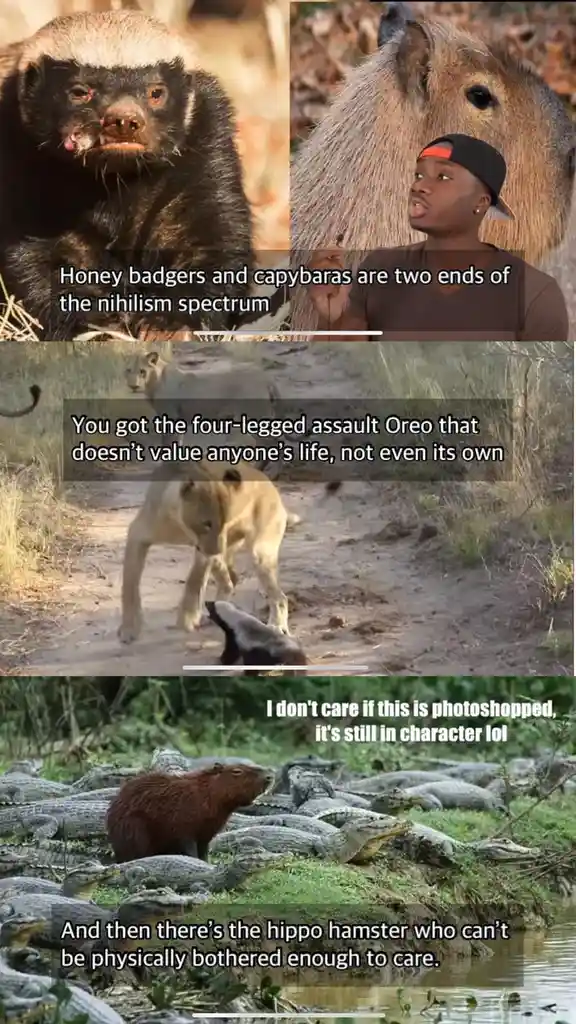 A four-panel meme comparing honey badgers and capybaras as opposites on a 'nihilism spectrum'. The first panel shows a honey…