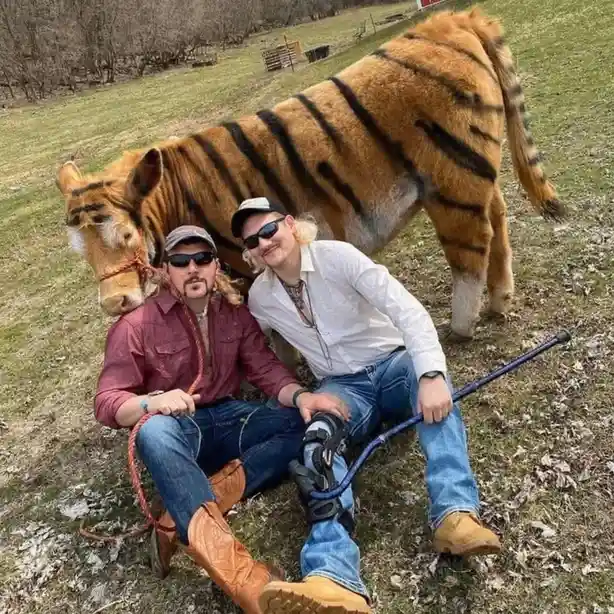 Two men in cowboy boots and sunglasses sit on grass next to a mule that has been painted with tiger stripes. One man holds a…
