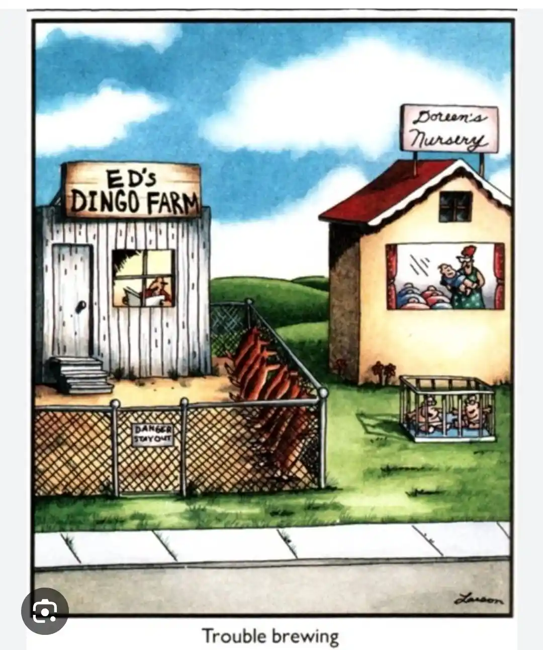 A cartoon depicts two adjacent buildings: 'Ed's Dingo Farm' with a fence containing several dingo-like animals and a 'Danger…