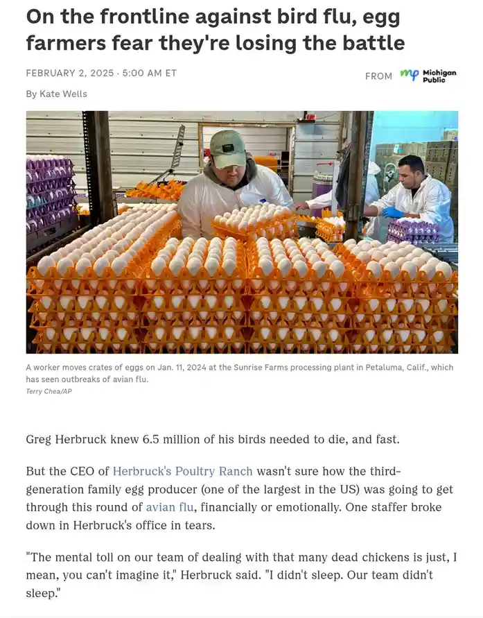 A news article screenshot shows workers in protective gear handling large quantities of eggs in a processing plant. The…