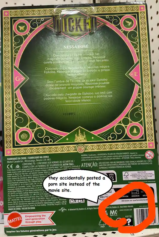 The back of a 'Wicked' toy box for the character Nessarose, showing multilingual character descriptions and safety warnings…