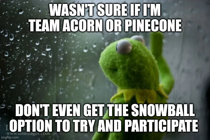 A green felt frog puppet, Kermit the Frog, is shown looking out a rain-streaked window with a confused expression. White…