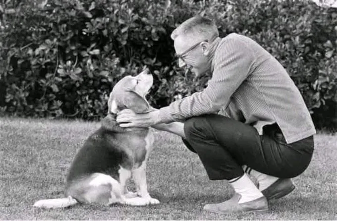 A black-and-white photo shows a man in a sweater crouching and petting a beagle sitting on grass. The beagle looks up at the…