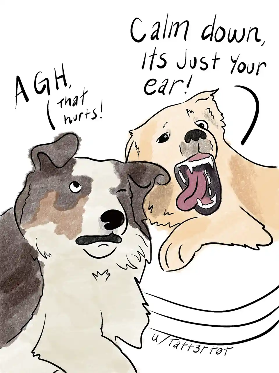 A cartoon drawing shows a fluffy golden dog playfully biting the ear of a tri-color dog. The bitten dog yelps 'AGH, that…