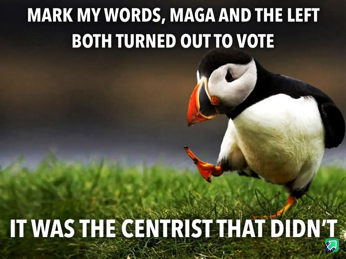 A photograph of a puffin standing on green grass with one foot lifted, looking down. White bold text is overlaid at the top…