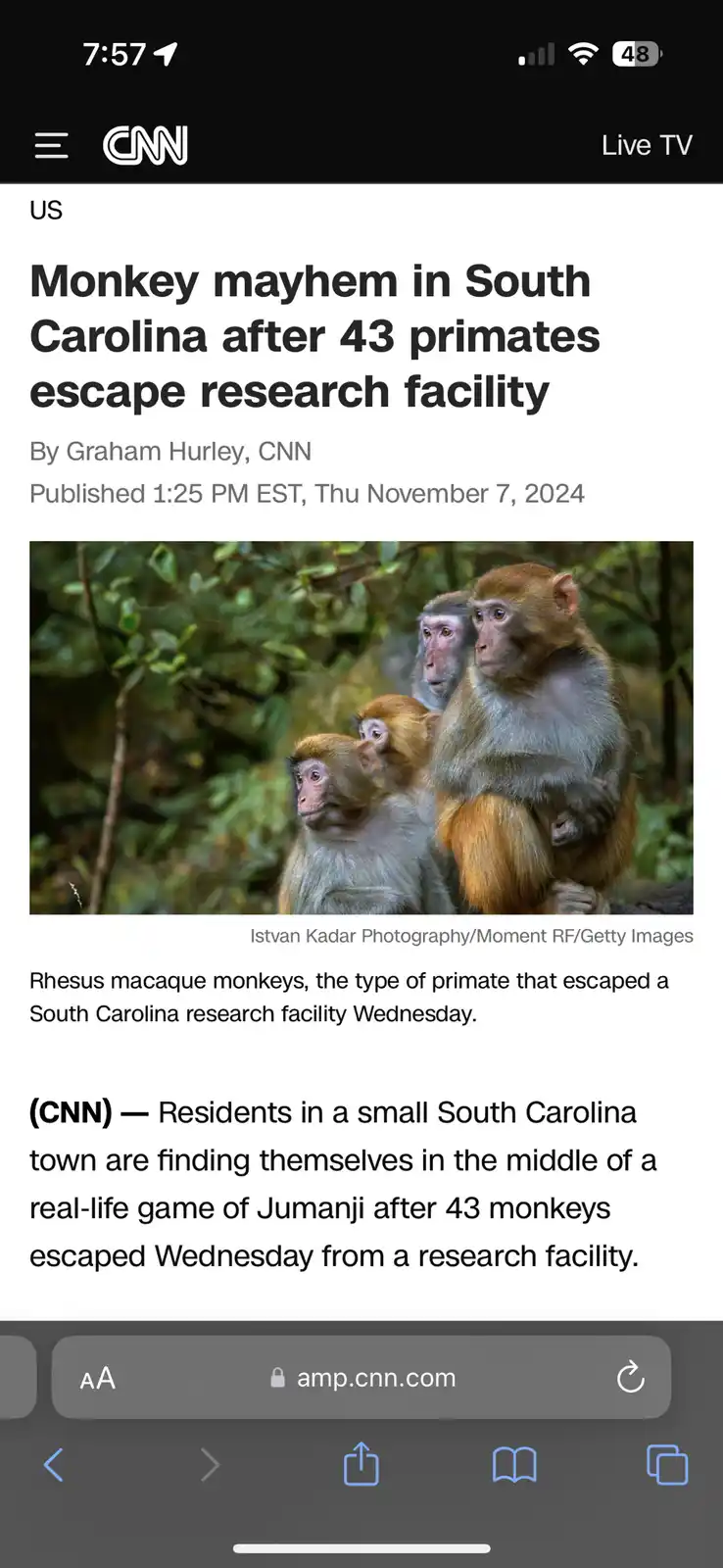 A screenshot of a CNN news article about 43 rhesus macaque monkeys escaping a research facility in South Carolina. The…