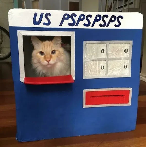 A homemade cardboard replica of a US Postal Service mailbox features a fluffy orange cat's face in the window slot, with…