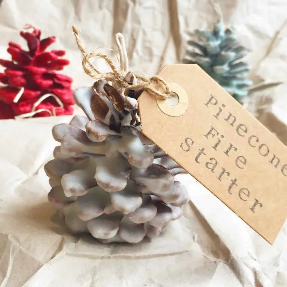 A close-up photo shows a pinecone coated in a white, waxy substance, tied with twine to a brown paper tag that reads…