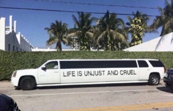 A white stretch limousine is parked on a street with palm trees and a hedge in the background. The side of the limo has the…
