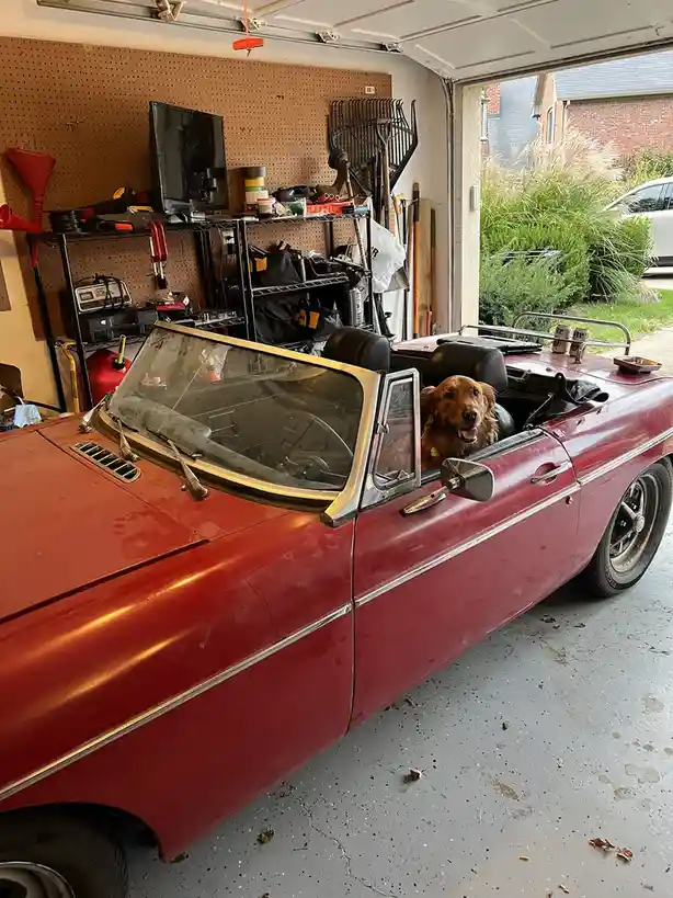 A golden retriever sits in the driver's seat of a red vintage convertible parked inside a cluttered garage, looking out the…