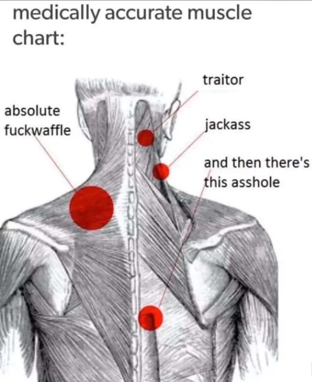 As a Licensed Massage Therapist, I Can Confirm These Are Spot On