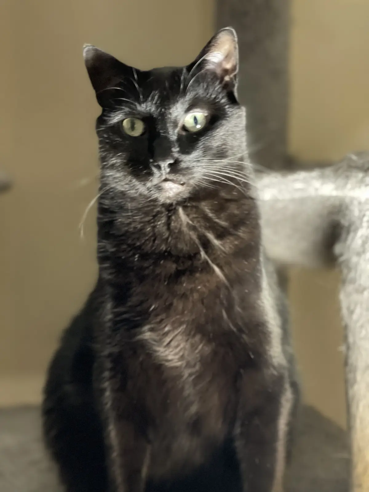 Meet the Mysterious Spooky Boy