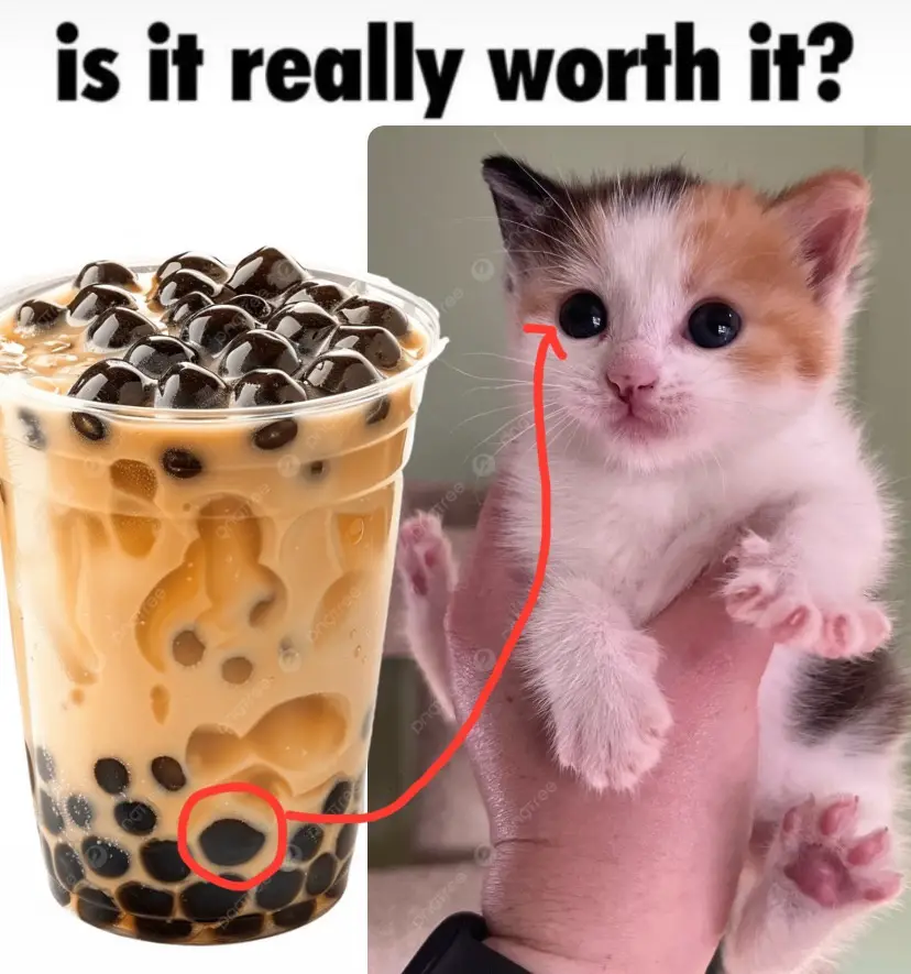 A cup of bubble tea with a single black tapioca pearl highlighted at the bottom, connected by a red arrow to a tiny calico…