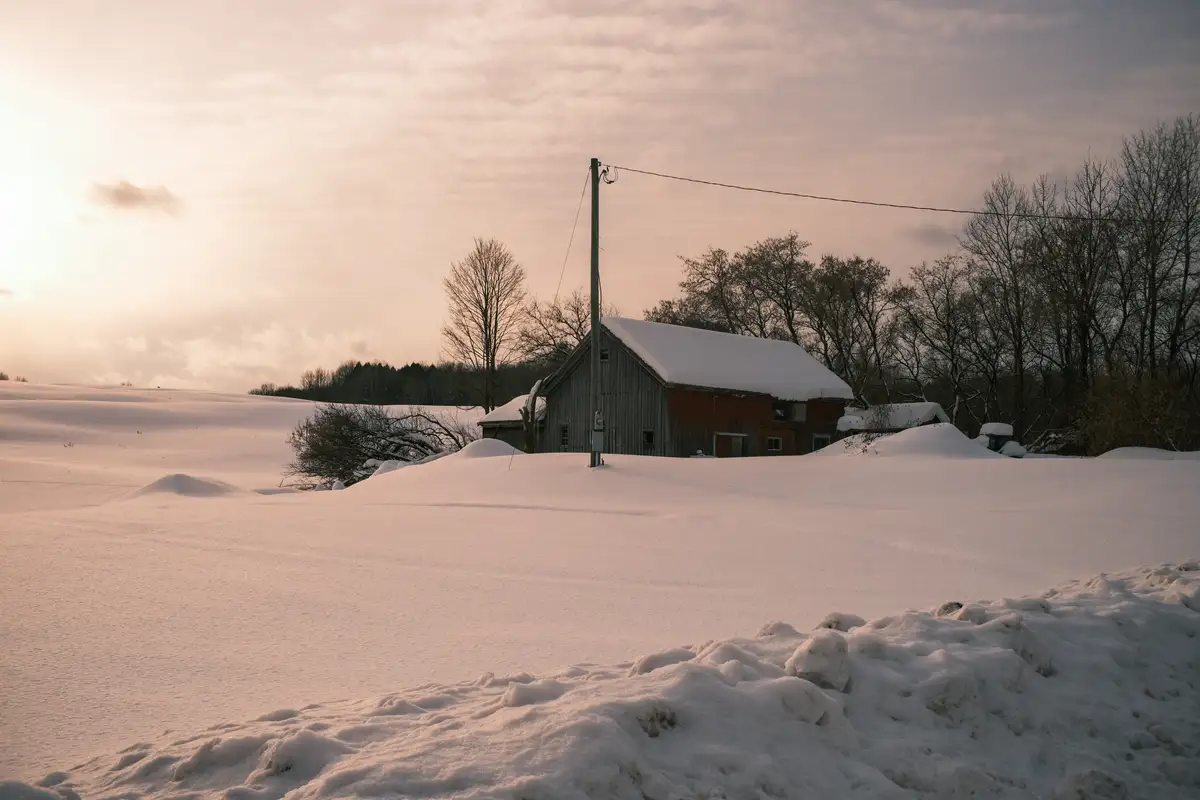 A serene winter landscape shows a snow-covered barn and fields under a soft, cloudy sky at sunrise or sunset. A utility pole…